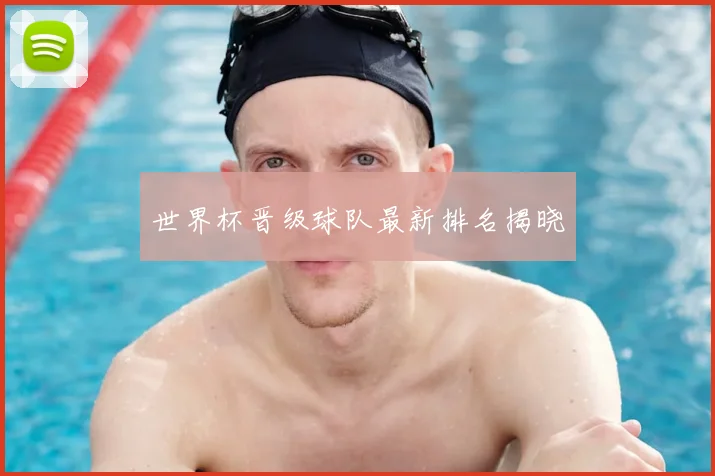 世界杯晋级球队最新排名揭晓