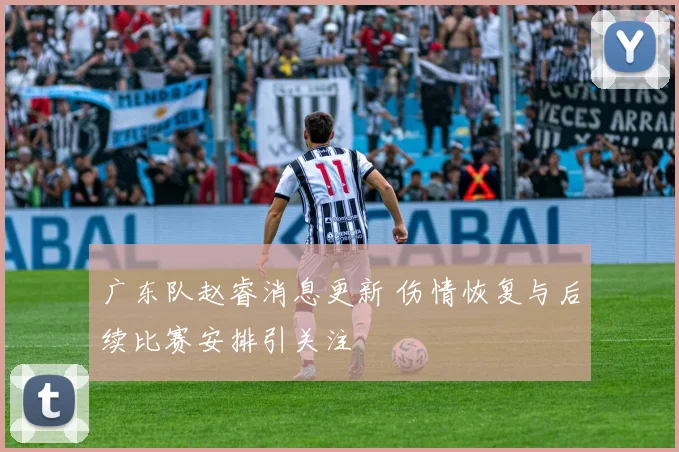 广东队赵睿消息更新 伤情恢复与后续比赛安排引关注