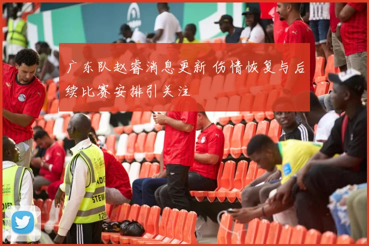 广东队赵睿消息更新 伤情恢复与后续比赛安排引关注