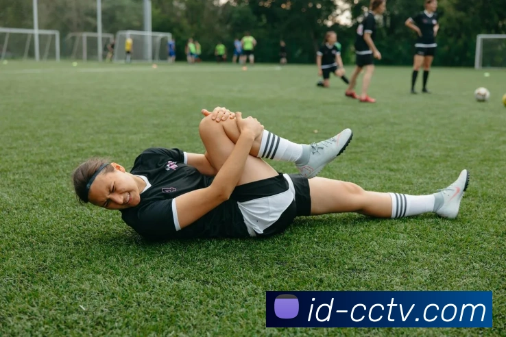 乐鱼网页版登录入口服务体系